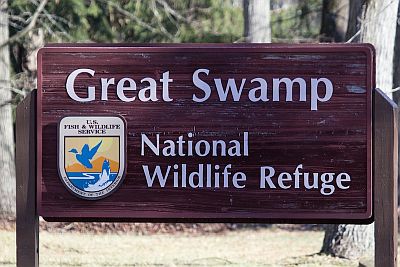 Great Swamp National Wildlife Refuge and Lord Stirling Park - Morris ...