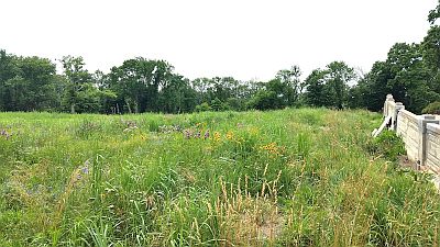 Hilltop Reservation Restored Meadow