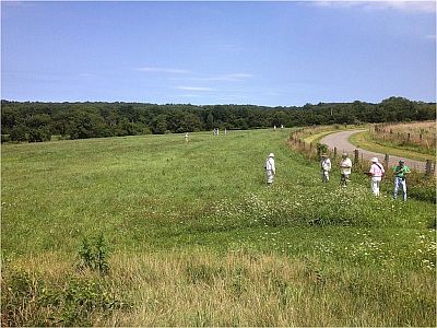 Dog park field at Horseshoe Bend Park