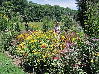 Kittatinny Valley State Park Butterfly Garden