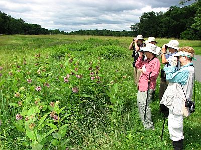 Kittatinny Valley State Park Butterflying the Entry Road Field