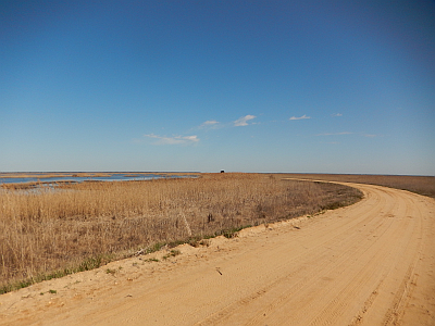 Road Along The Dike