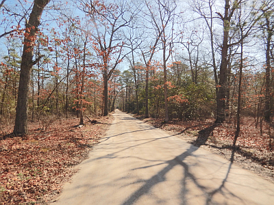 Road Through The Refuge