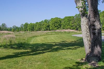 River Road Park field