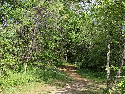 Nature Trail