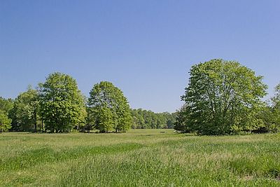 Stahl Natural Area field