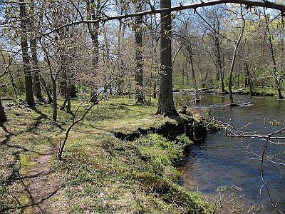 Riparian corridor