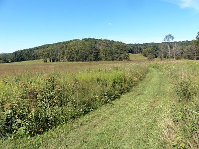 Path through fields